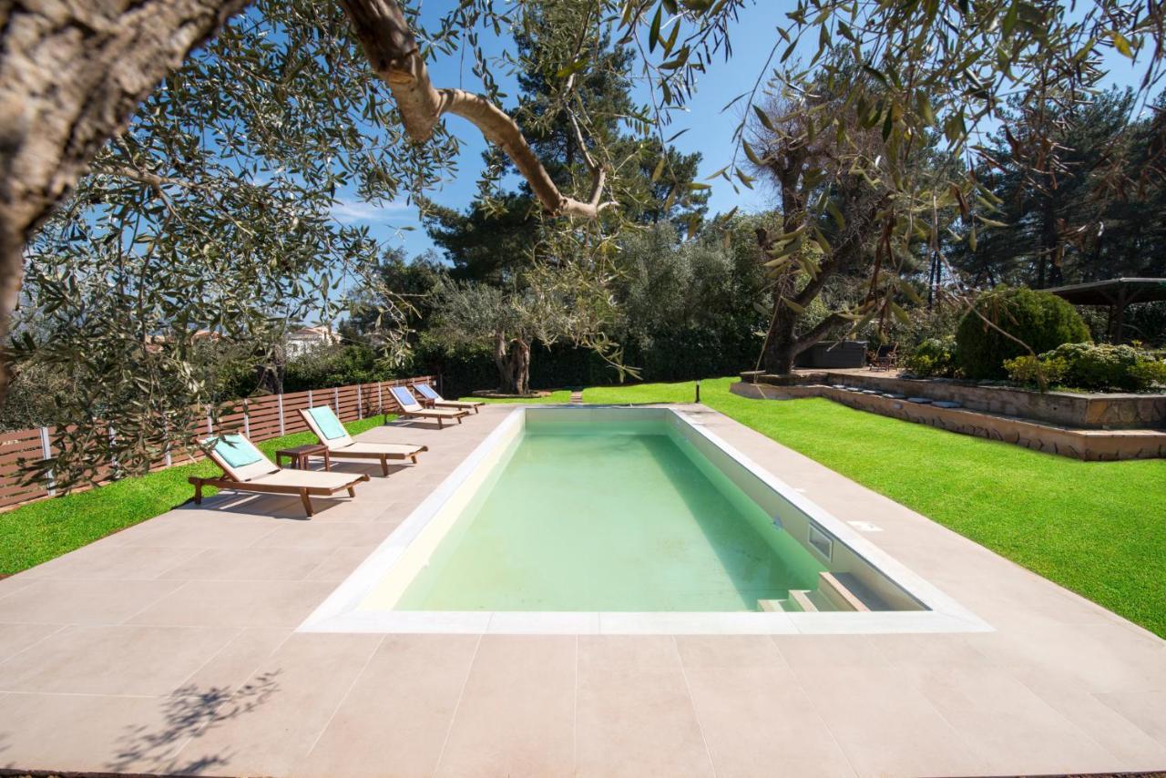 Spyrelia Villa With Private Pool & Outdoor Hot Tub Дассия Экстерьер фото